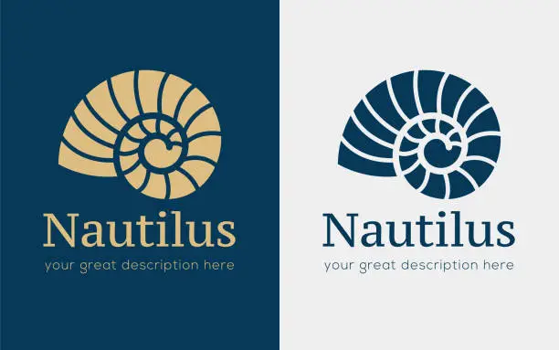 Vector illustration of nautilus copy