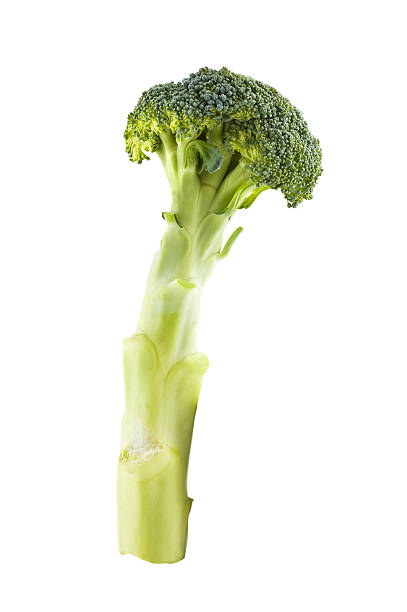 istock branch of broccoli isolated 95246565