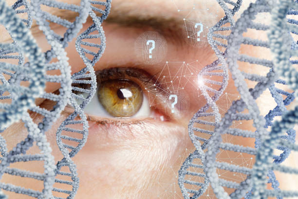 istock Doctor looks the DNA molecule. 952466512