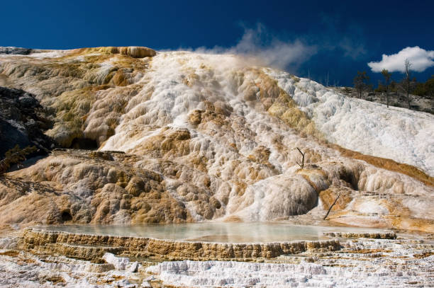 Palette Spring at Mammoth Hot Springs, Yellowstone stock photo