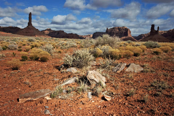 Landscape at Valley of the Gods, Utah stock photo