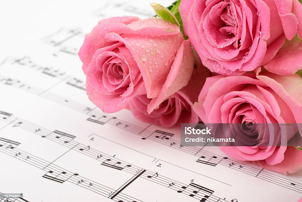 Pauta de Música com Rosa Rosa - Royalty-free Branco Foto de stock