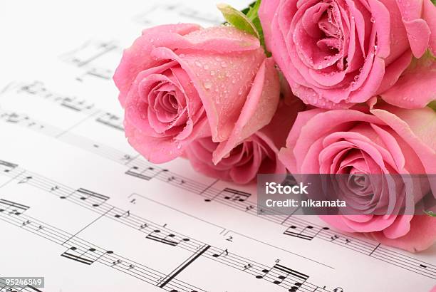 Pauta De Música Com Rosa Rosa - Fotografias de stock e mais imagens de Branco - Branco, Cor preta, Flor