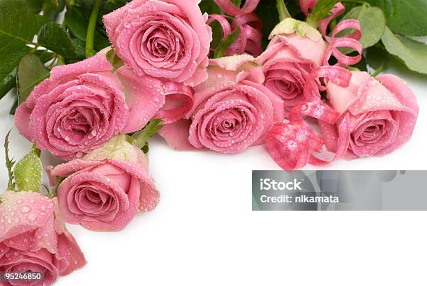 Pink Rose W Krople Rosy - zdjęcia stockowe i więcej obrazów Bez ludzi - Bez ludzi, Bukiet, Dekoracja