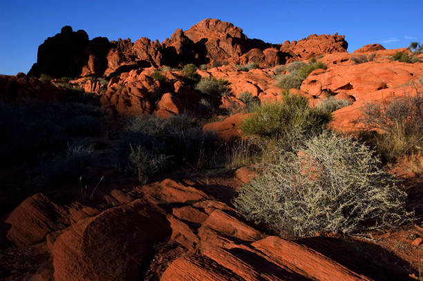 istock Sunset over red rocks at Valley of Fire, Nevada 952470696
