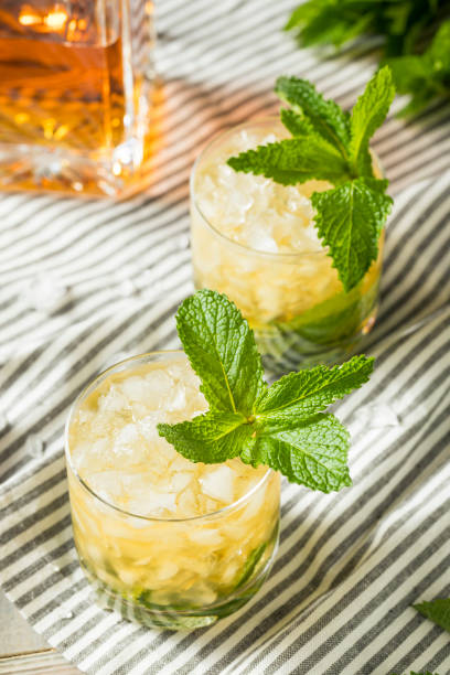 istock Homemade Derby Mint Julep 952482514