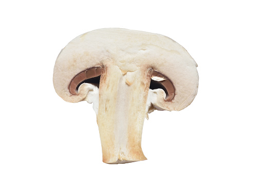 Slice of a large mushroom close-up on a white background. Isolated.