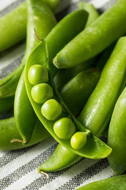 istock Raw Green Organic Snap Peas 952492728