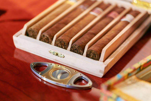 cigar cutter and cigars in humidor wooden box cigar cutter and cigars in humidor wooden box. cigars stock pictures, royalty-free photos & images