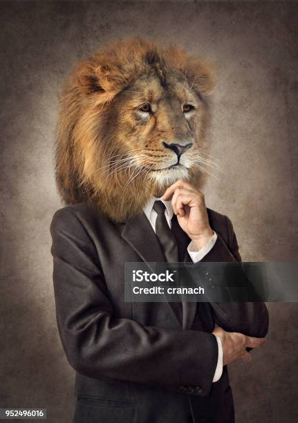 Photo libre de droit de Lion Dans Un Costume Homme Avec Une Tête Dun Lion Graphique Du Concept banque d'images et plus d'images libres de droit de Lion