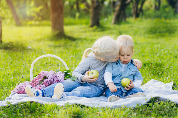 istock Brother and sister sitting on summer meadow 952496384