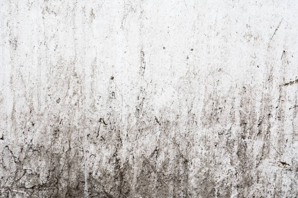 istock grunge light gray texture of an old wall with black divorces, white surface with smudges, abstract background 952552778