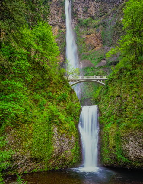 istock Multnomah Falls in Columbia River Gorge National Scenic Area, Oregon 952553030