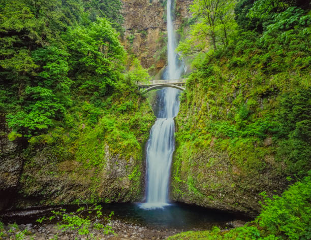 istock Multnomah Falls in Columbia River Gorge National Scenic Area, Oregon 952553080