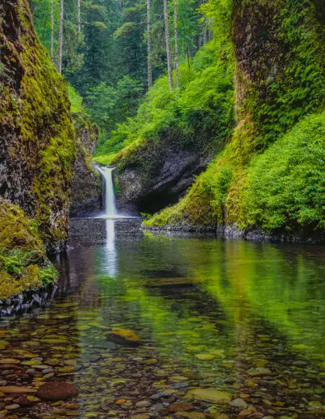 Photo of Punchbowl Falls in Columbia River Gorge National Scenic Area,  on Eagle Creek, Oregon