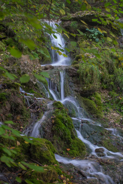 istock Waterfall in the forest. Green moss and stones. Summer. 952553354