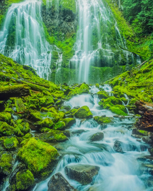 istock Proxy Falls near McKenzie Pass  in  Oregon 952553690