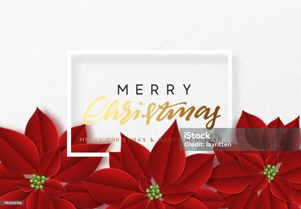 Merry Christmas, background decorated with beautiful red buds poinsettia flowers Merry Christmas, background decorated with beautiful red buds poinsettia flowers. Christmas stock vector