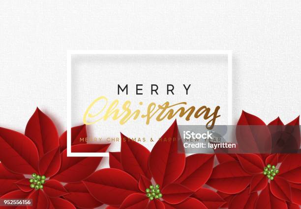 Merry Christmas Background Decorated With Beautiful Red Buds Poinsettia Flowers Stock Illustration - Download Image Now