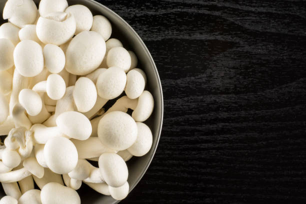 istock Fresh raw white shimeji mushroom on black wood 952562348