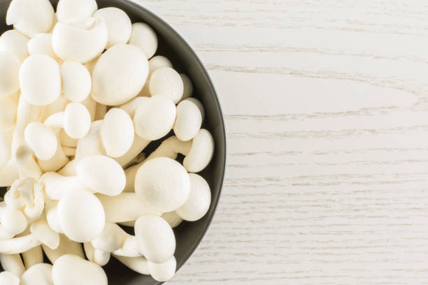 istock Fresh raw white shimeji mushroom on grey wood 952564652