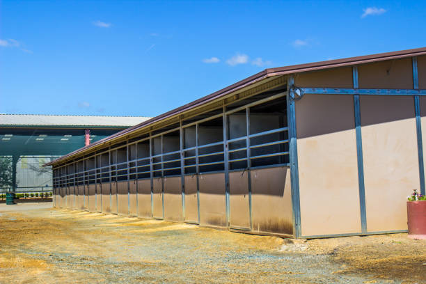 istock Horse Paddocks At Equestrian Center 952577688