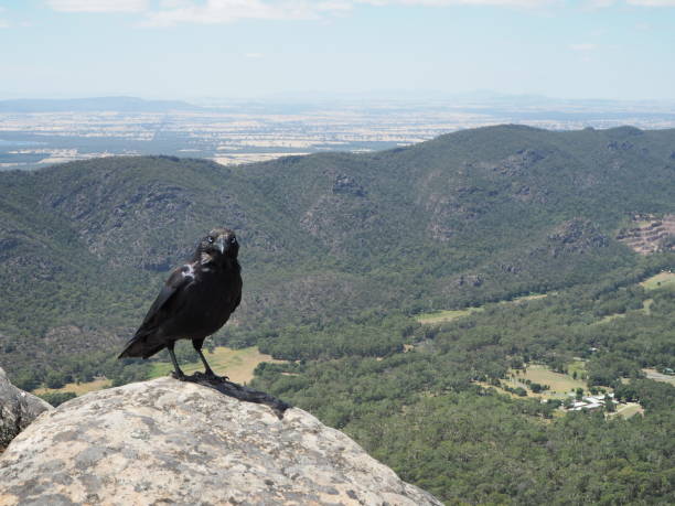 istock Black rock on the mountain top 952580110