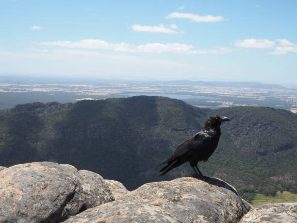 istock Black rock on the mountain 952581060