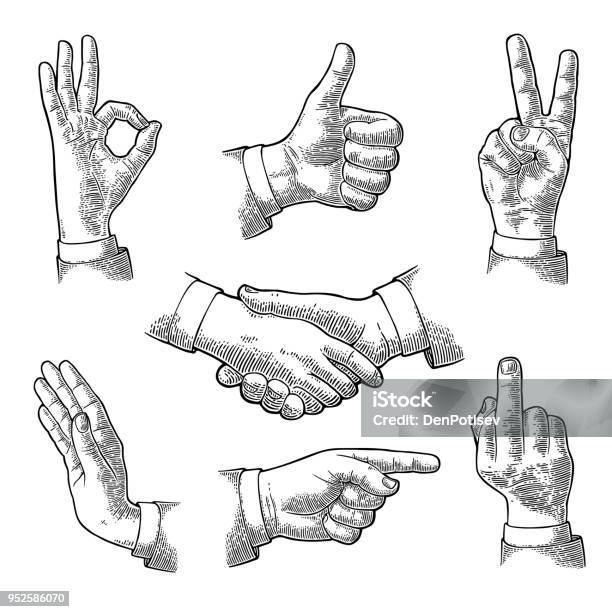 Männliche Handzeichen Wie Ok Stop Mittelfinger Händedruck Sieg Stock Vektor Art und mehr Bilder von Hand