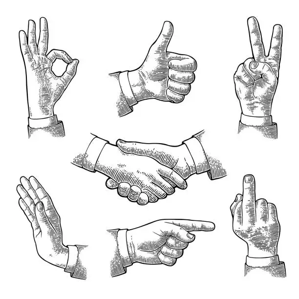 Vector illustration of Male Hand sign. Like, Handshake, Ok, Stop, Middle finger, Victory