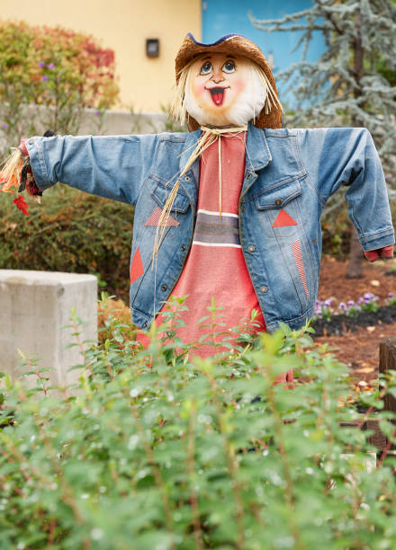 istock Scarecrows during Halloween Season 952591372