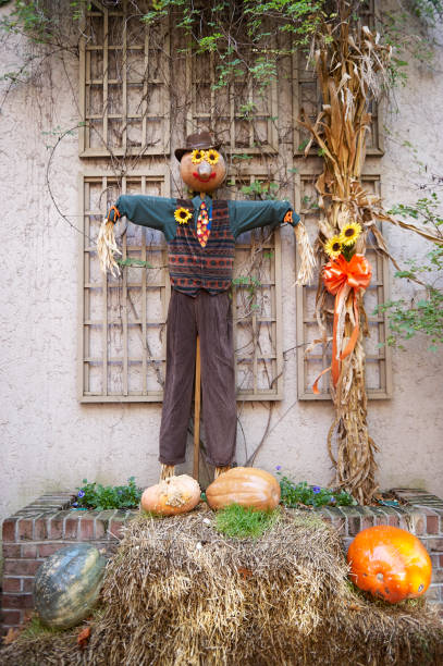 istock Scarecrows during Halloween Season 952591470