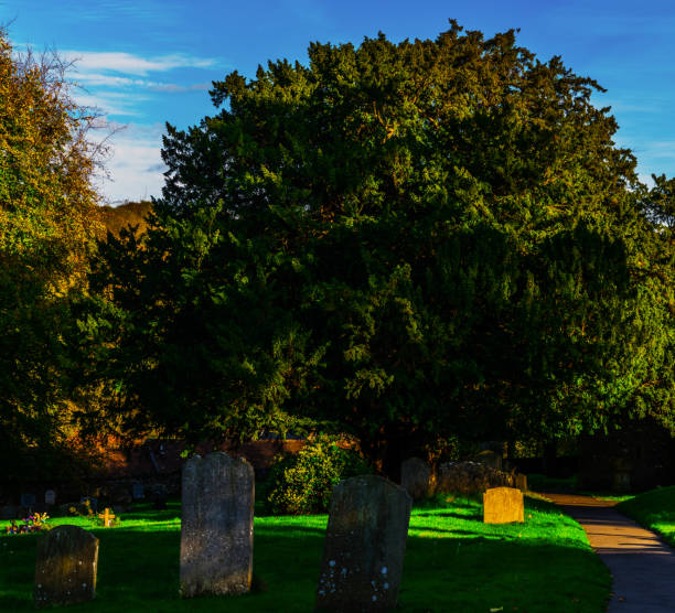 istock Old Medieval english Cemetery, gravestones, typical old British cemetery on a sunny day 952606552
