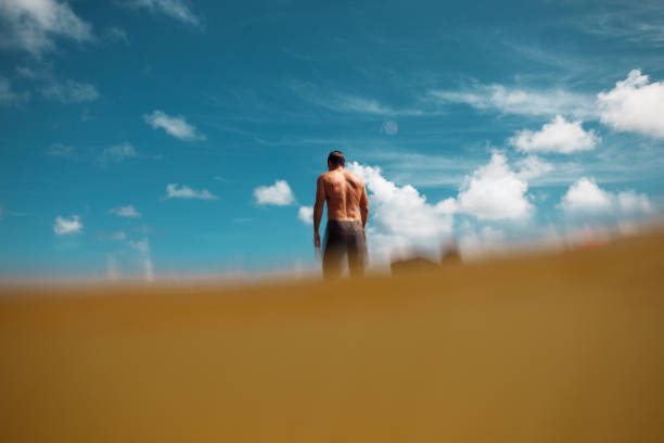 homem andando com o cachorro é na praia havaiana - underwater dog adult happiness - fotografias e filmes do acervo