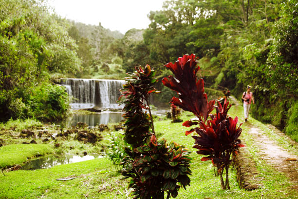 frauen-fotograf in kauai garten, norden von kauai, aktives leben in schönen landschaften - waterfall water nature zen like stock-fotos und bilder