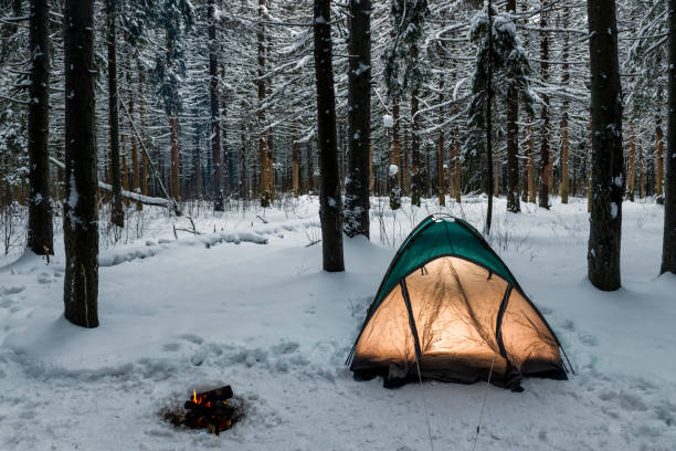 istock tent in the winter forest on a hike, near a burning fire 952625784