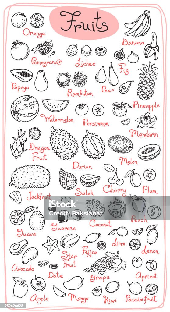 Set drawings of fruits for design menus, recipes and packages product. Vector Illustration Set drawings of fruits for design menus, recipes and packages product. Vector Illustration. Fruit stock vector