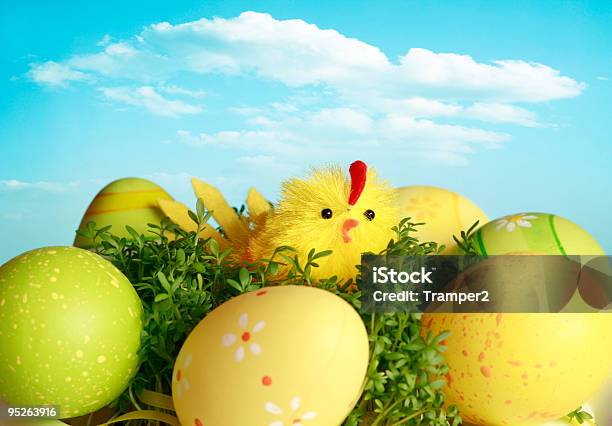 Chicken And Eggs Stock Photo - Download Image Now - Animal, Arrangement, Baby Chicken
