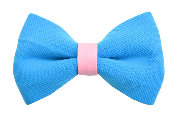 istock Blue bow tie isolated on the white 952642954