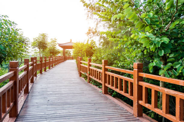 istock Wooden bridge through the forest 952675128