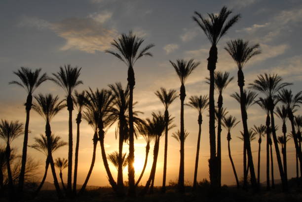 istock Desert, southern California 952676408
