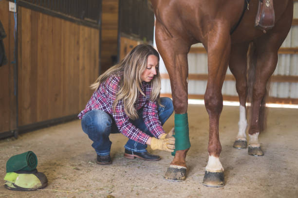 istock A Woman and Her Horse 952679160