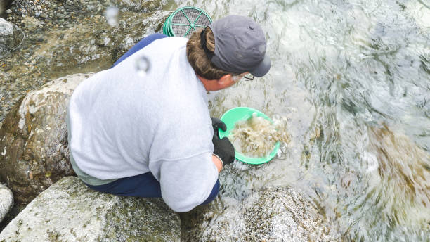 istock A man searches for gold in Alaska 952679434