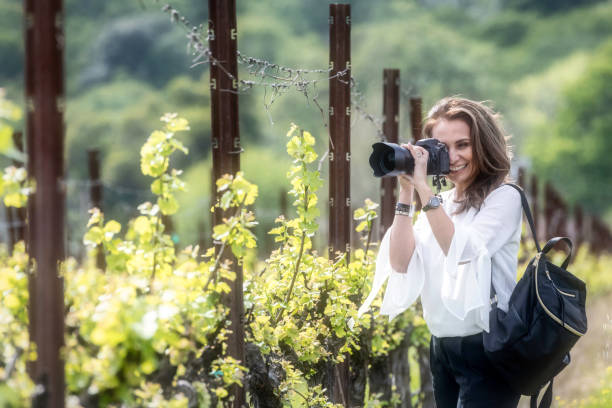 istock Photographing the vineyards 952689876