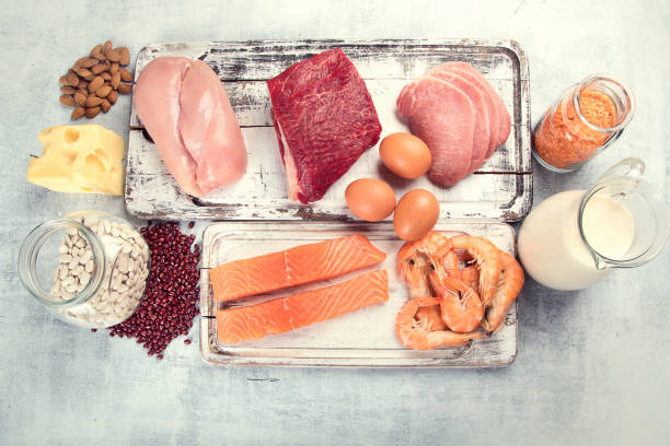 istock Food high in protein. Healthy eating concept 952692304
