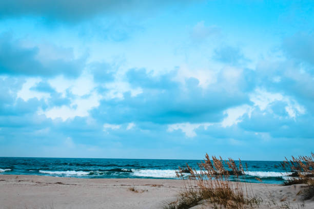 Beach days in North Carolina during the summer