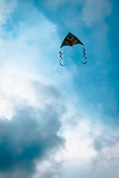 istock Kite flying during a cloudy summer day on the beach 952695368
