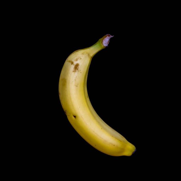 istock Raw banana on black background 952695622