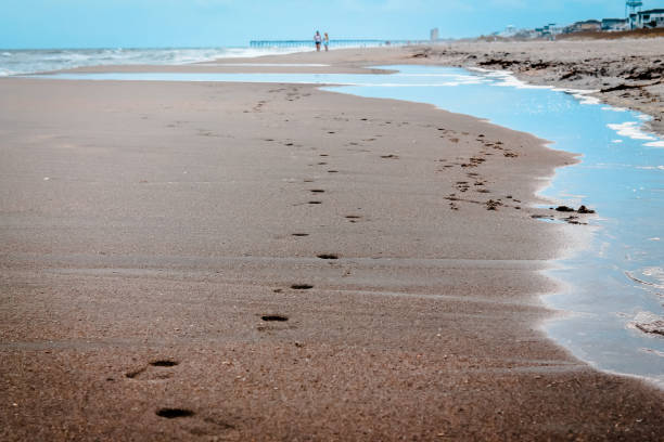 istock People leaving footprints in the sand 952695818