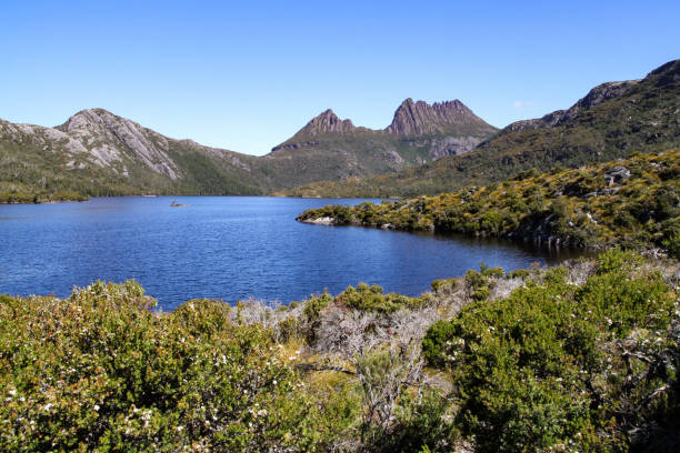 istock Tasmania's Cradle Mountain 952695850